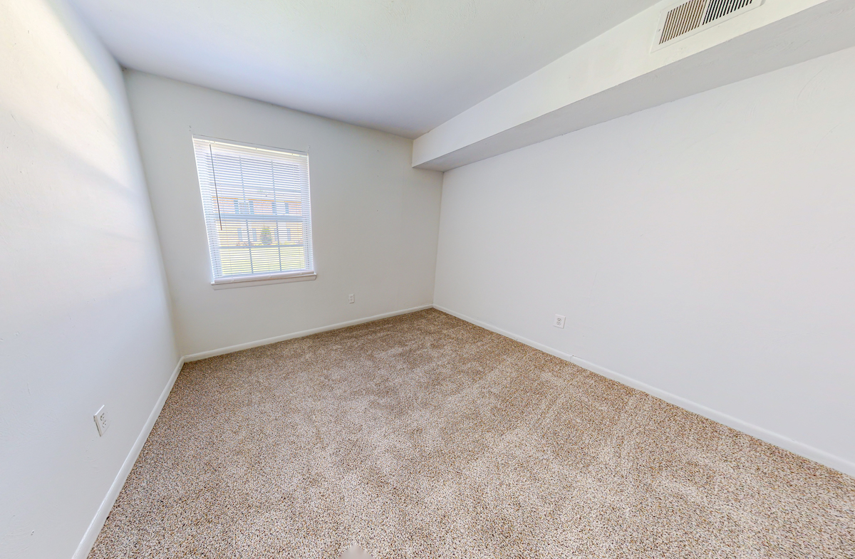 Carpeted room with bright window